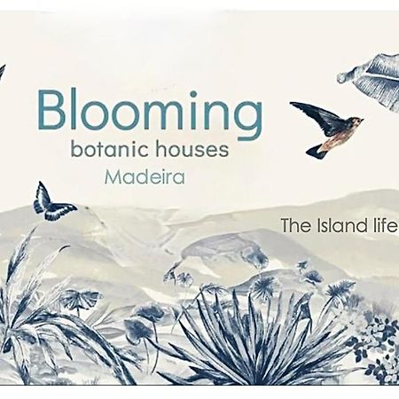 Blooming Botanic Houses Estreito Da Calheta エクステリア 写真