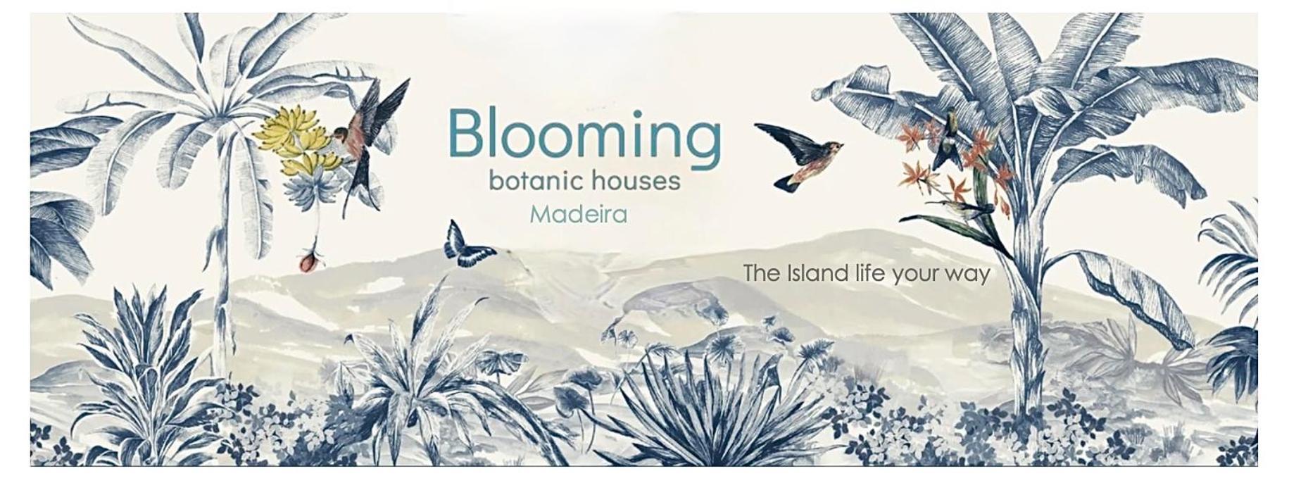 Blooming Botanic Houses Estreito Da Calheta エクステリア 写真