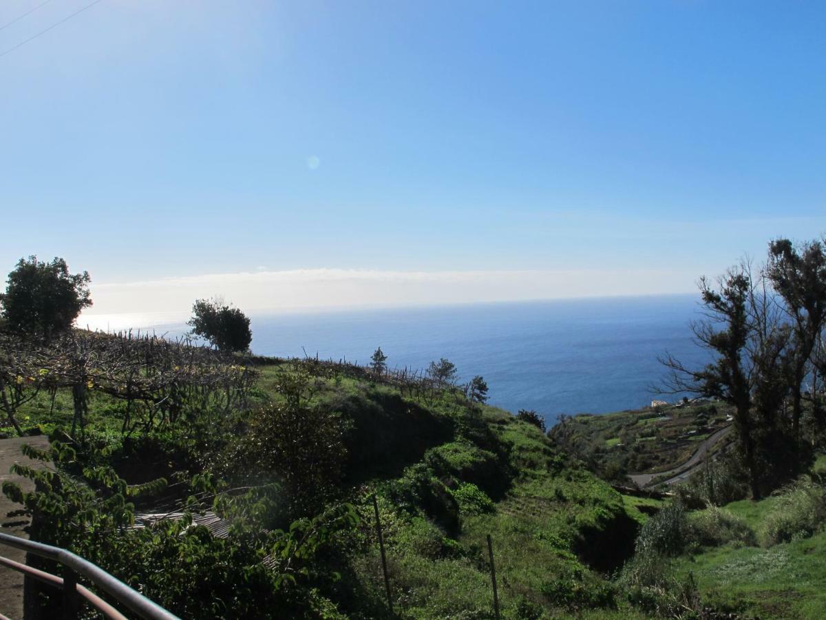 Blooming Botanic Houses Estreito Da Calheta エクステリア 写真