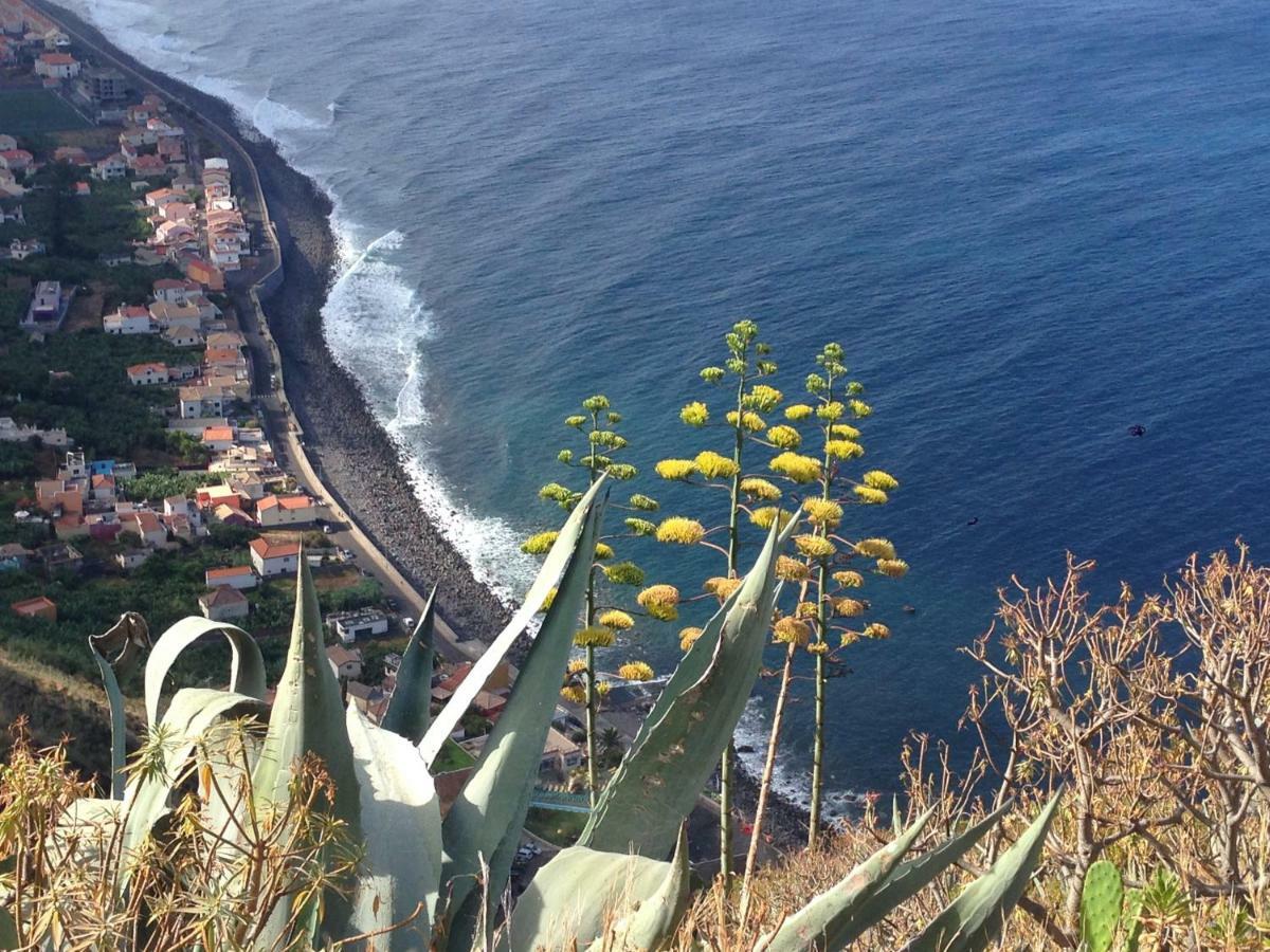 Blooming Botanic Houses Estreito Da Calheta エクステリア 写真