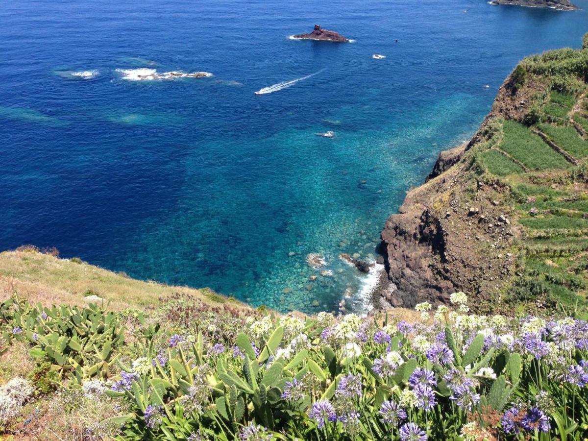 Blooming Botanic Houses Estreito Da Calheta エクステリア 写真