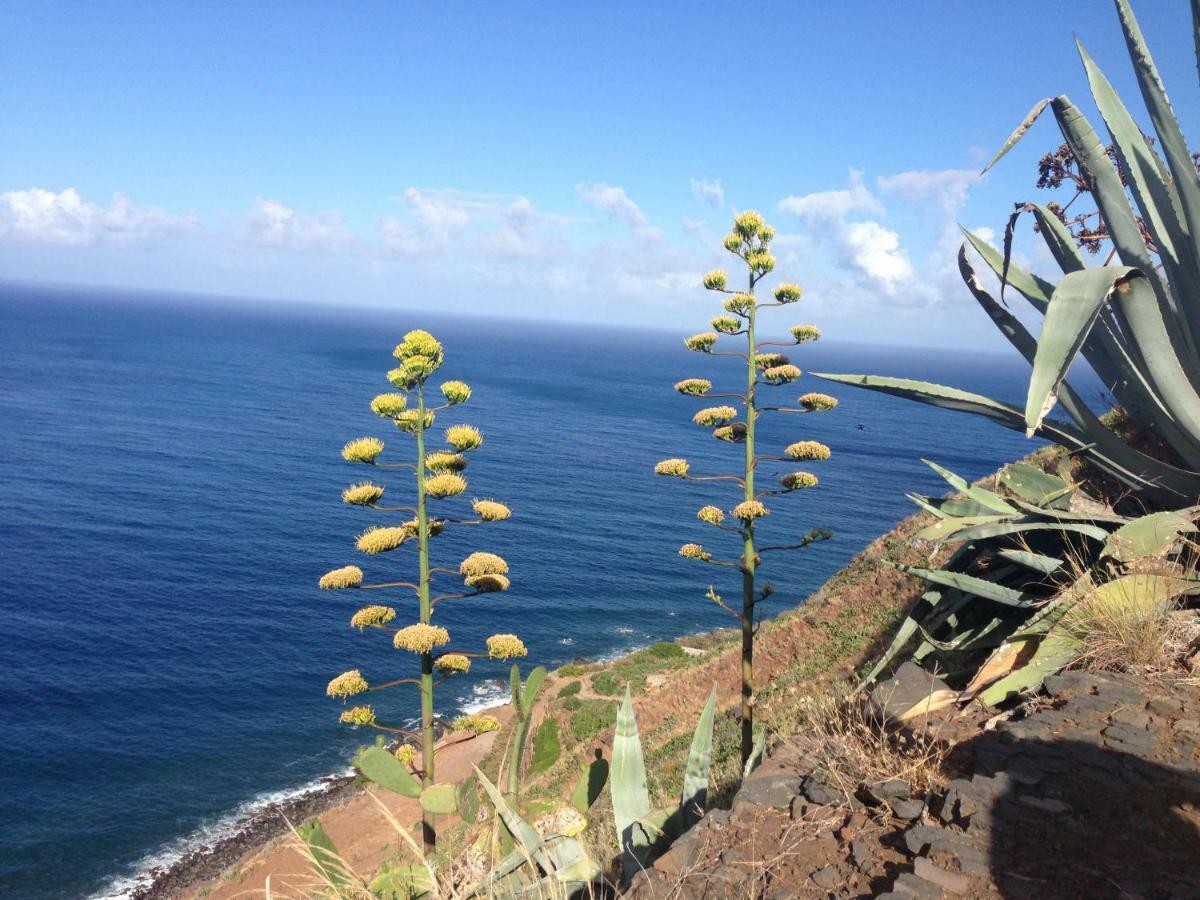 Blooming Botanic Houses Estreito Da Calheta エクステリア 写真