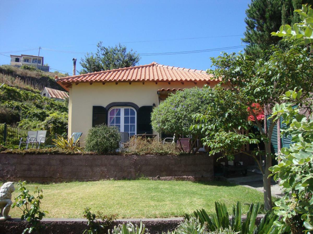 Blooming Botanic Houses Estreito Da Calheta エクステリア 写真