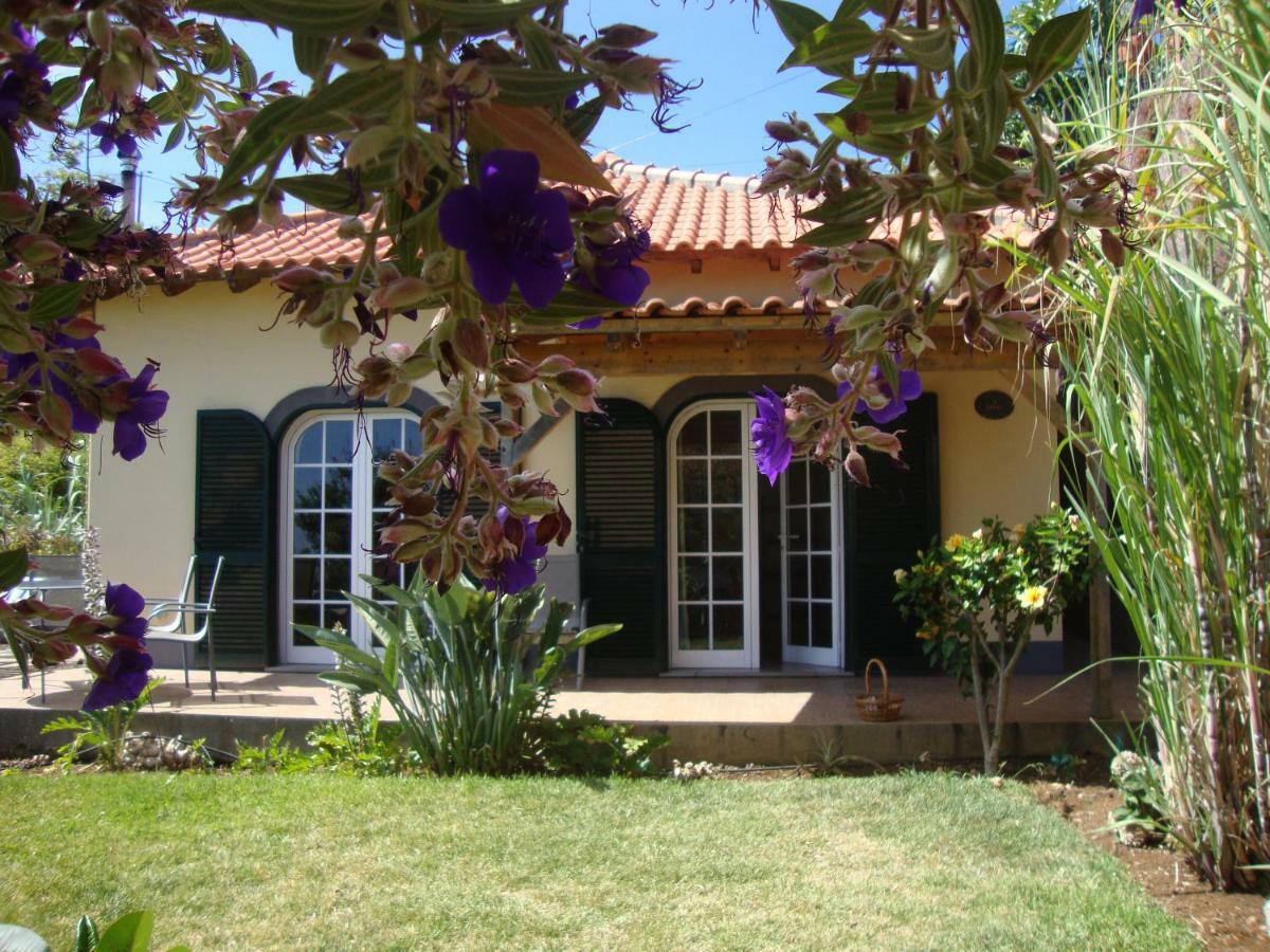 Blooming Botanic Houses Estreito Da Calheta エクステリア 写真